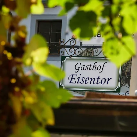 Hotell Eisentor Losenstein