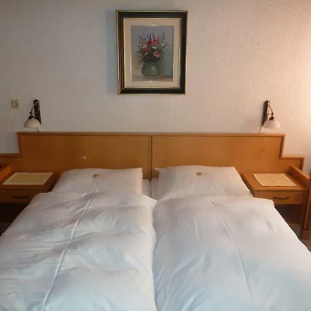 Eisentor Hotel *