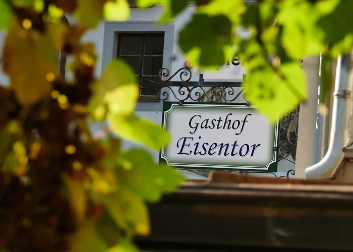 فندق Eisentor Losenstein
